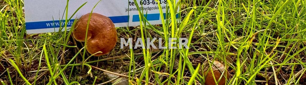 Działka osowa góra