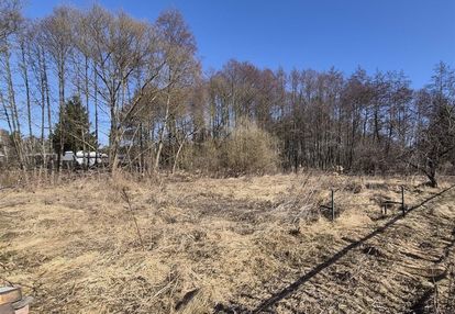 Działka,  kruszyn krajeński