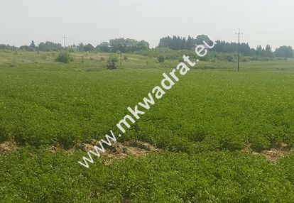 Działka kopytów
