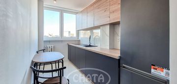 Głogowska/rozkład/media miejskie/1 wynajem