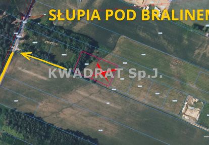 Mieszk-usłu/2171m2/blisko s8/słupia p. bralinem