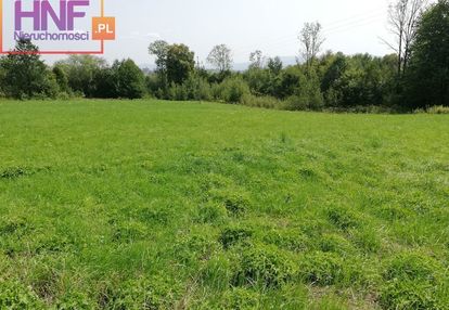 Działka rolno-leśna 72,64ar w trzetrzewinie