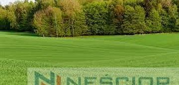 Działka budowlana 998 m2 -nowe iganie