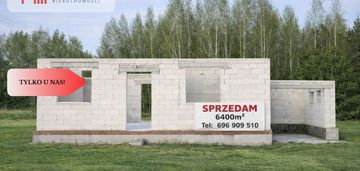 Dom w budowie na leśnej działce – bory tucholskie