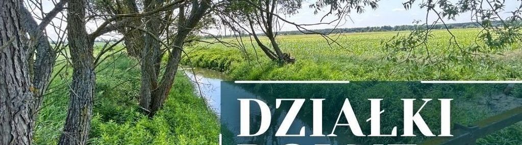 Działki rolne na sprzedaż, gmina domaszowice 1-2ha