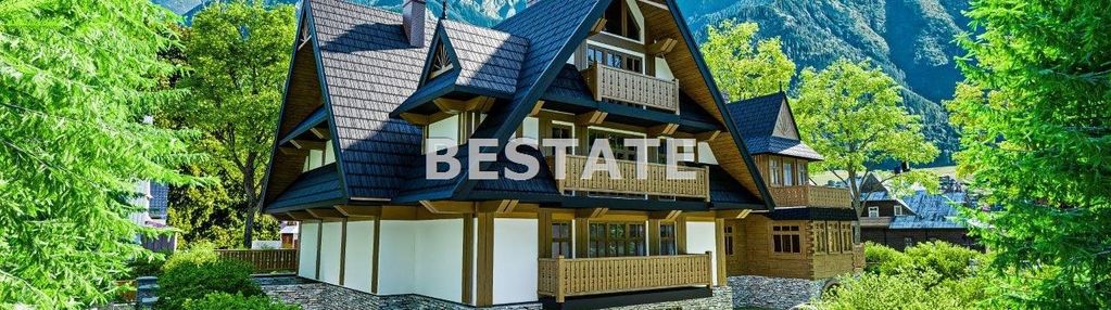 Willa+poz. na bud. pensjonatu centrum zakopane