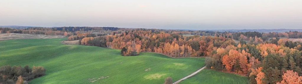 Pięknie położona działka leśna w Mrągowie