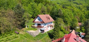 Przepiekny w zieleni