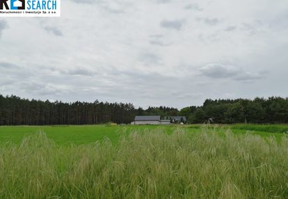 Piękne działki przy lesie (stefanowskie holendry)