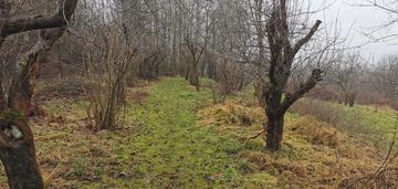 Działki budowlane- golkowice (od 10a do 15a)