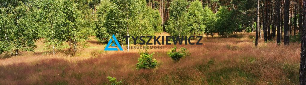 Wyjątkowa działka w otoczeniu przyrody!