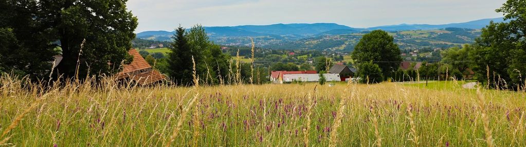 Działka z przepięknym widokiem - południowy stok