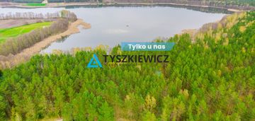 Las z linią brzegową jeziora - piece %nowa cena%