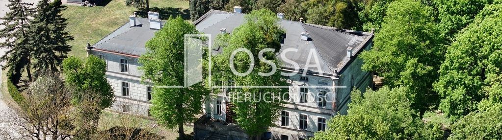 Pałac pod toruniem | 6ha parku