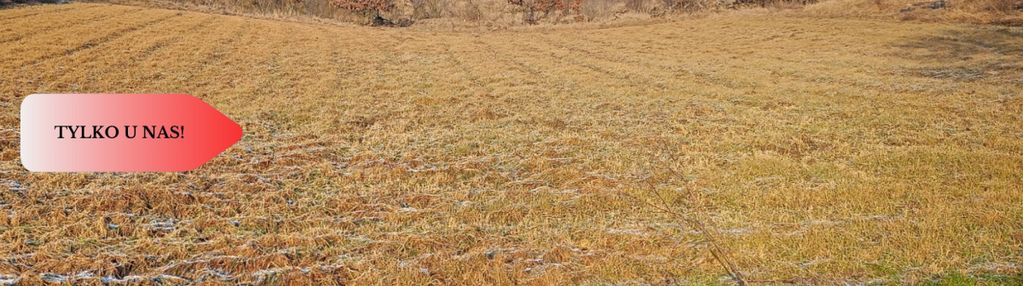 3 działki w nakle nad notecią