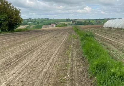 Działka na sprzedaż 5000m2