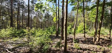 Działka budowlana - warszawa-wawer, radość