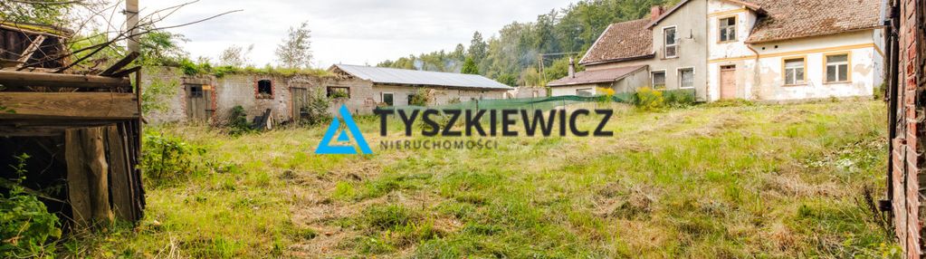 Działka siedliskowa 3 239 m² z zabudowaniami