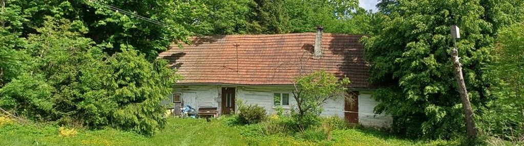 Działka 44ar z drewnianym domem czarny potok