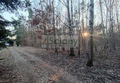 Piekna działka w ojrzanowie, z drzewami