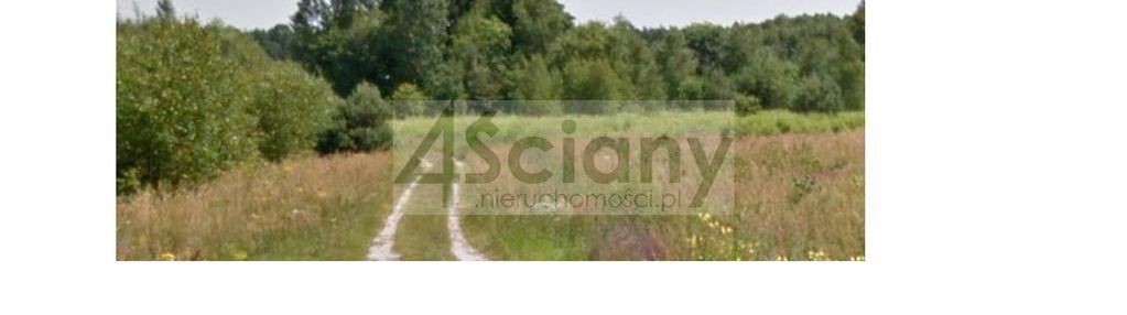 Strzeniówka - działka na granicy lasu