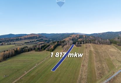 Twój kawałek natury w ostrowsku