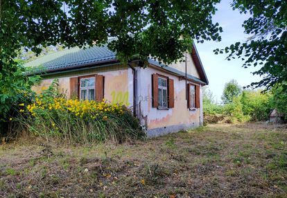 Duża, możliwość podziału, blisko pałac żelechów