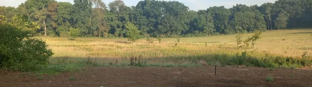 Działka na sprzedaż 1000m2