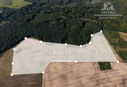 Działka rolna 2,85 ha na sprzedaż – kamierowo 425t