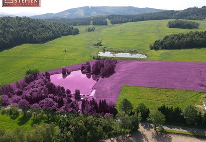 5 ha pod inwestycję w rudawach janowickich