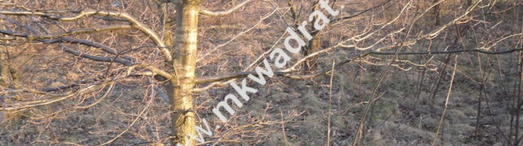 Spokojnie # rodzinnie # pięknie