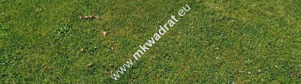 Ciekawa oferta dla developera