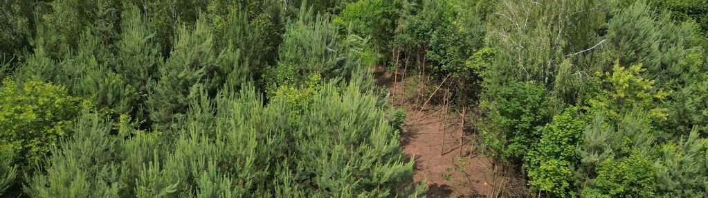 Działka budowlana bardzo blisko narwi. 1146 m