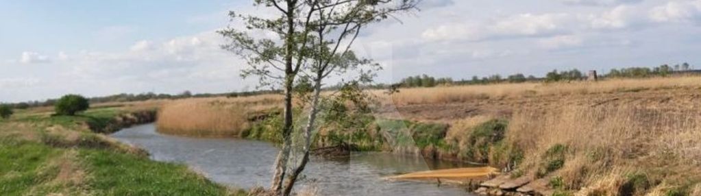 Działka z linią brzegową noteci