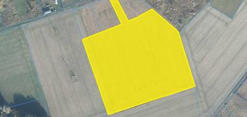 Na sprzedaż działka w boruchowie gmina ryczywół