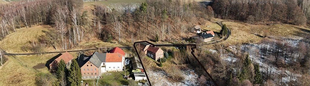 Dom z widokiem na tereny zielone i lasy