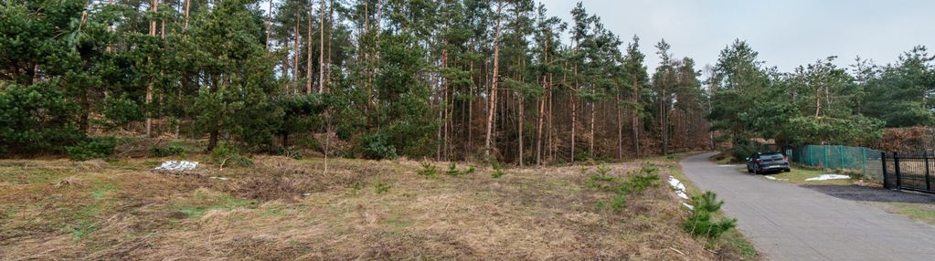 Wyjątkowa działka ze ścianą lasu!