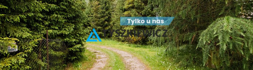 Duża działka w okolicy przywidza!