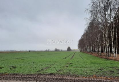 Działka rolna o pow. 3002m2 w łachowie gm. szubin