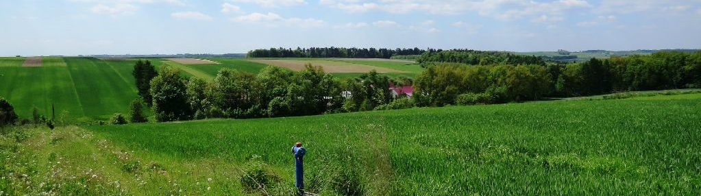 Działka o pow. 15,8 ar - gm. iwanowice, władysław
