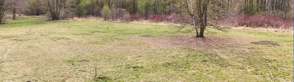 Działka nad rzeką pow. 2288 m2 budy zosine, wz