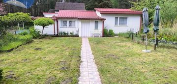 Cicha kształtna działka w otulinie lasu koło rzeki