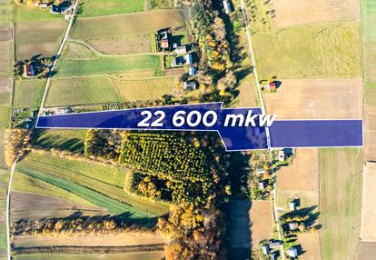 Dom z kawałkiem lasu i bijącym źródłem k\skały