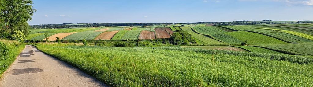 Oaza spokoju na łonie natury, pozwolenie na budowę