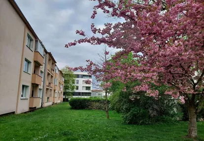 JASNE BŁONIA-HERBOWA; 3 pokoje; 1 piętro; balkon