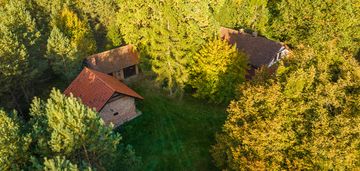 Siedlisko w otulinie lasu