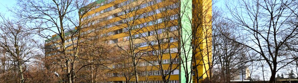 Świeżo po remoncie-38m2-media miejskie-ekonomiczny