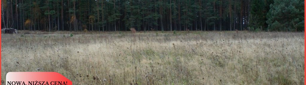 Działka budowlana wśród natury malowniczy widok