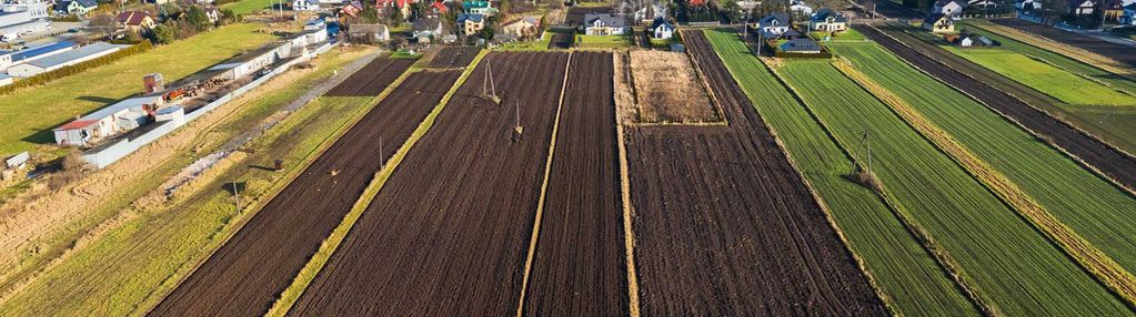 Działka z potencjałem w spokojnej okolicy – wadów