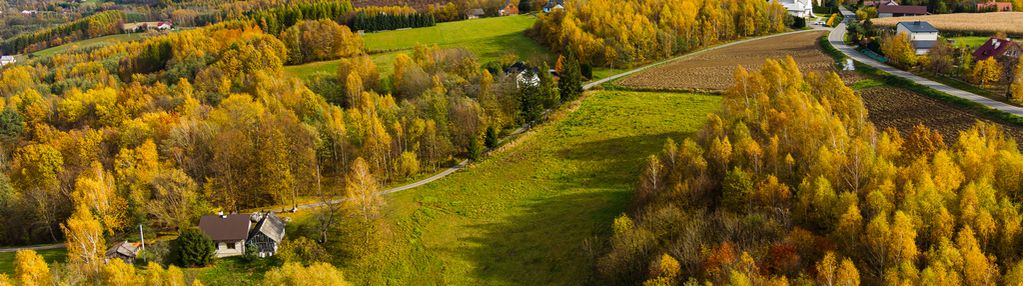 Meszna opacka, działka budowlana 8 ar, tanio!
